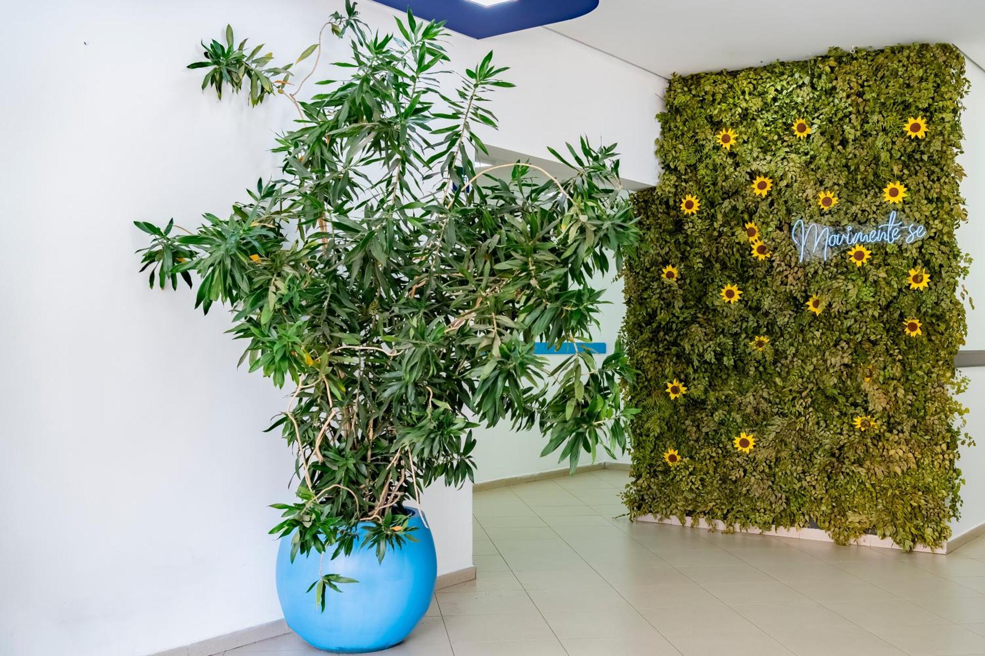 Ibis Budget Piracicaba Ngoại thất bức ảnh